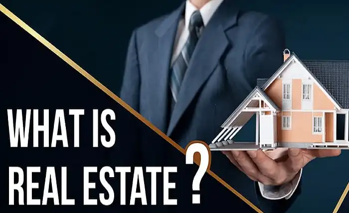 what is real estate