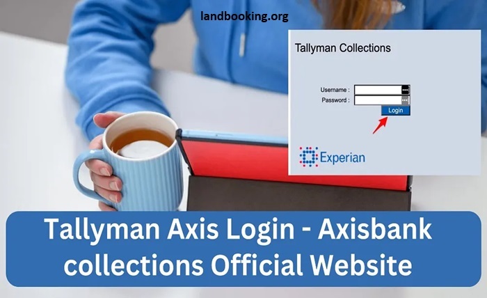 tallyman axis collection
